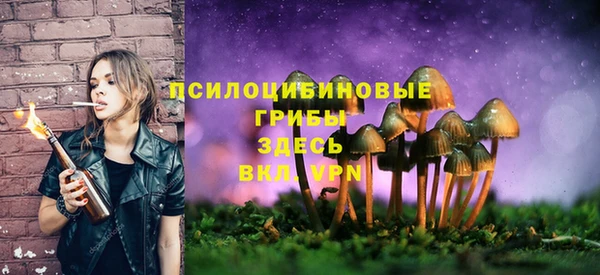 первитин Наволоки